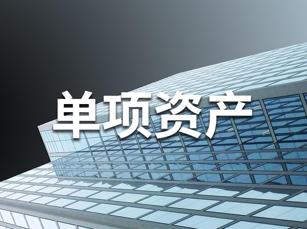 单项资产